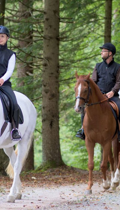 Horse Riding