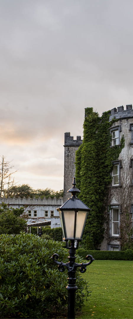 Sunsets at ballyseeded castle hotel as newlywed couple embrace