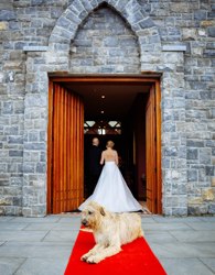 Looking into the wedding chapel wedding venue at ballyseede castle as bride and groom enter